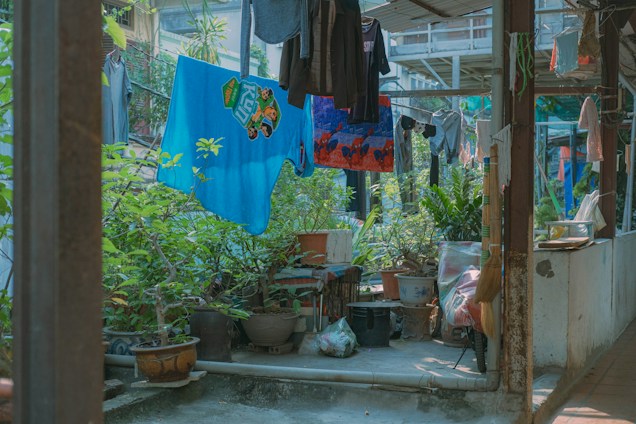 A small, cozy outdoor area filled with greenery and potted plants. Clothes are hanging on a line to dry, including a bright blue towel and various garments. A mix of household items such as buckets, brooms, and bags are scattered around the space.