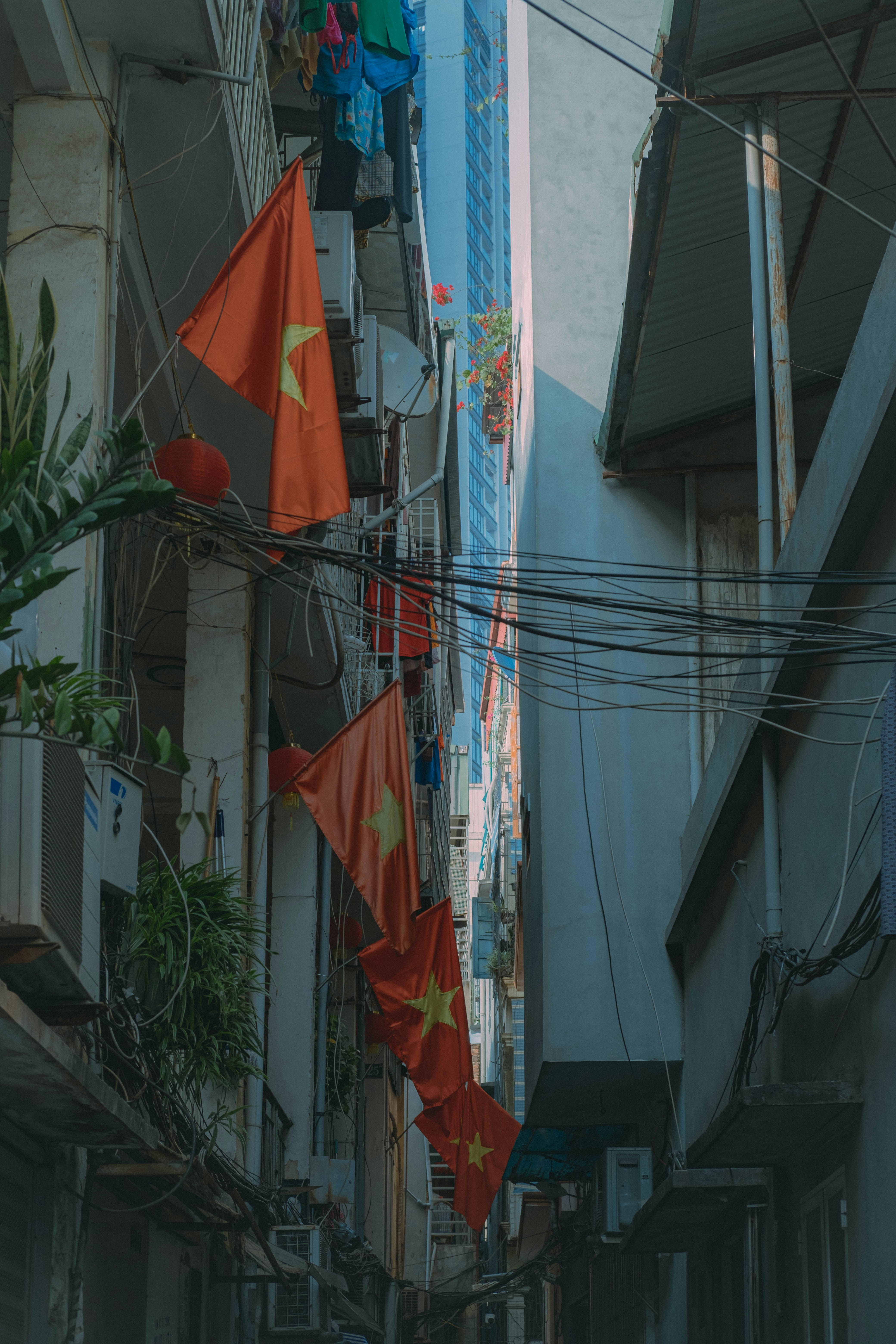 Photo by hieptltb97
