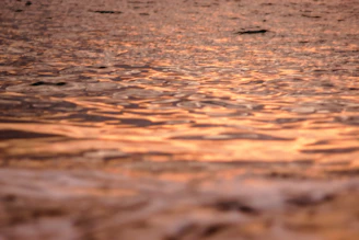 A slow-motion capture of a tide ripple reflecting the warm hues of sunset.