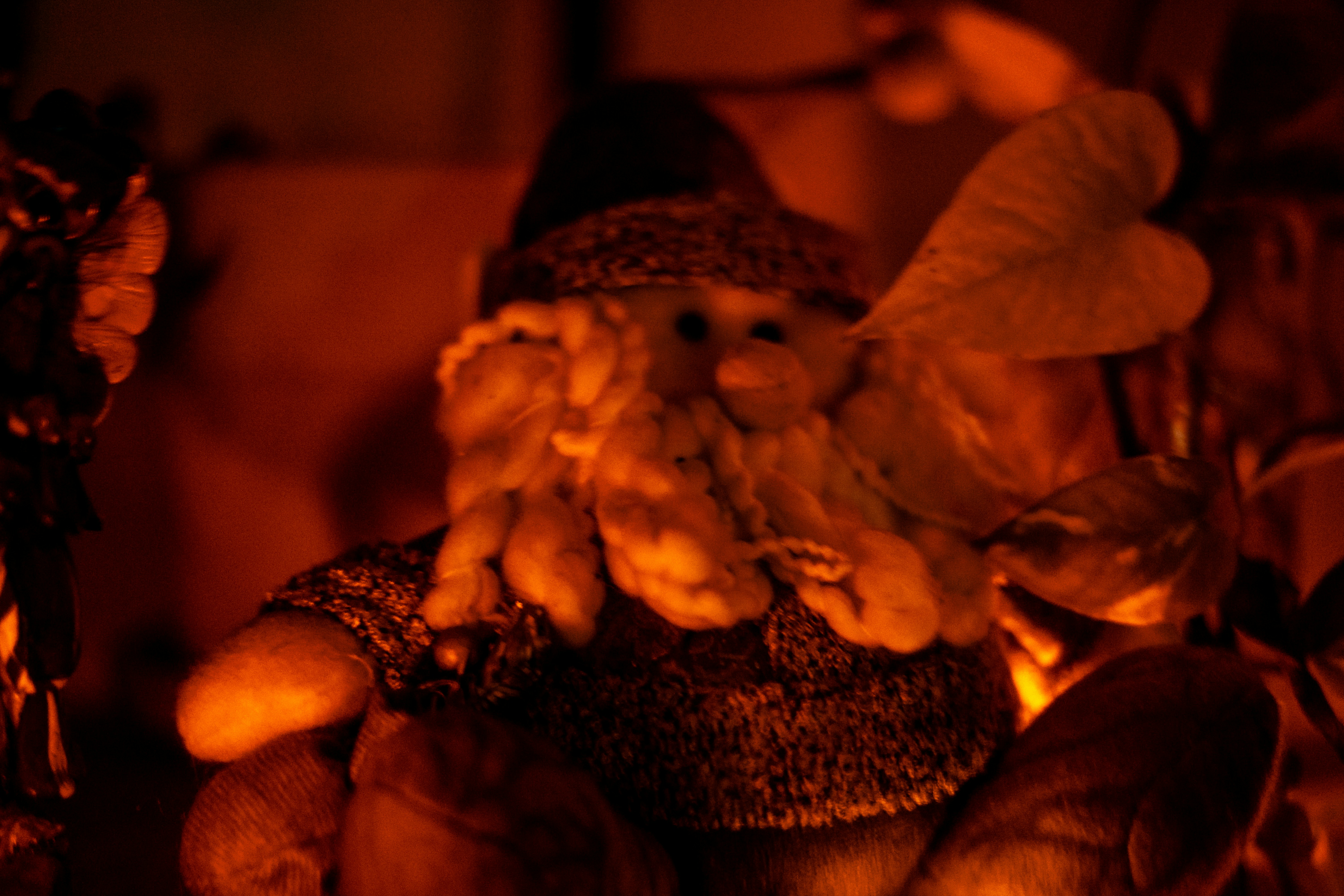 Meet Jasper the Dreamer