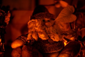 A softly lit, cozy scene featuring a plush figure with a woolly beard, wearing a rustic hat and sweater. The figure is surrounded by warm brown and orange tones, evoking a feeling of warmth and comfort.