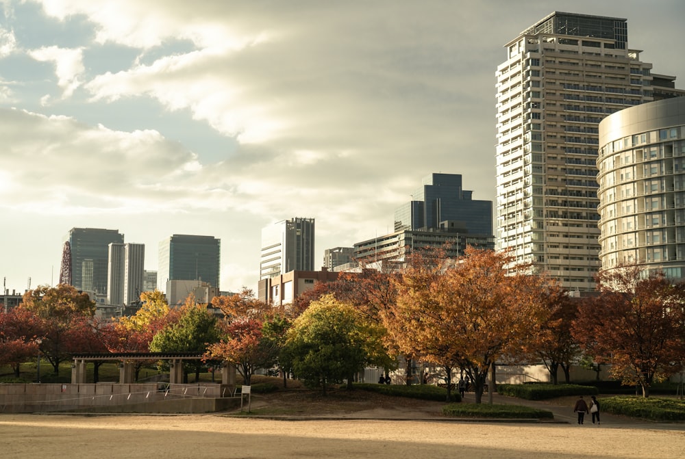 Une ville avec de grands bâtiments et des arbres au premier plan