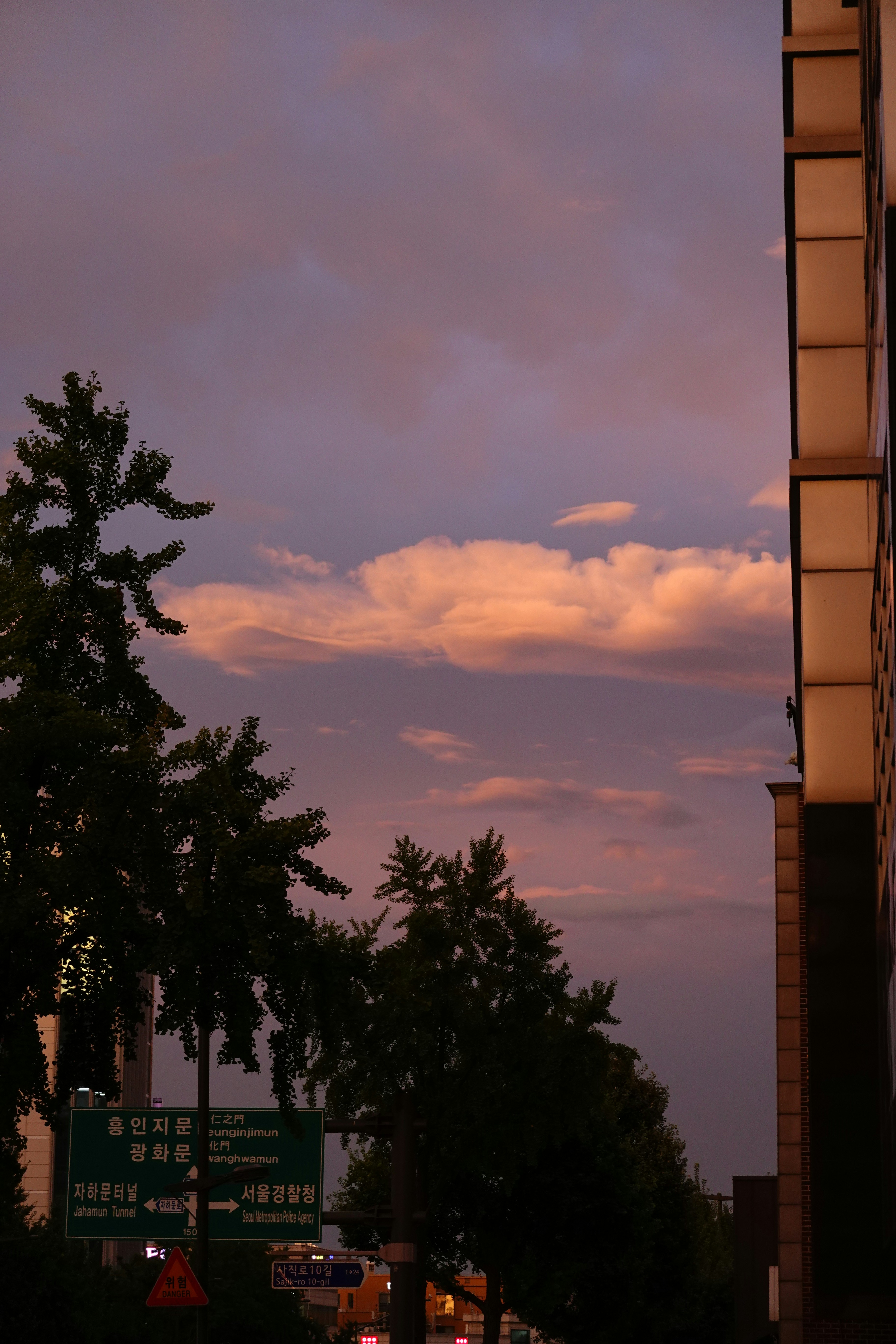 김선호의 매력과 트렌드 분석: 그의 인기 비결과 미래 동향