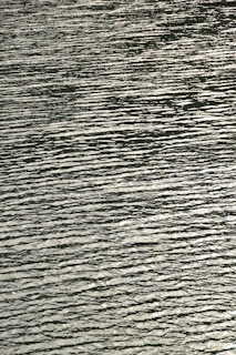 A serene photo of gentle water ripples reflecting soft natural light.