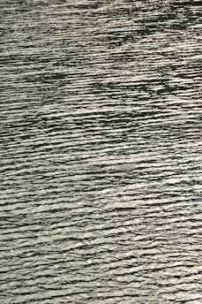 A serene lake at dawn with gentle ripples reflecting the soft morning light.