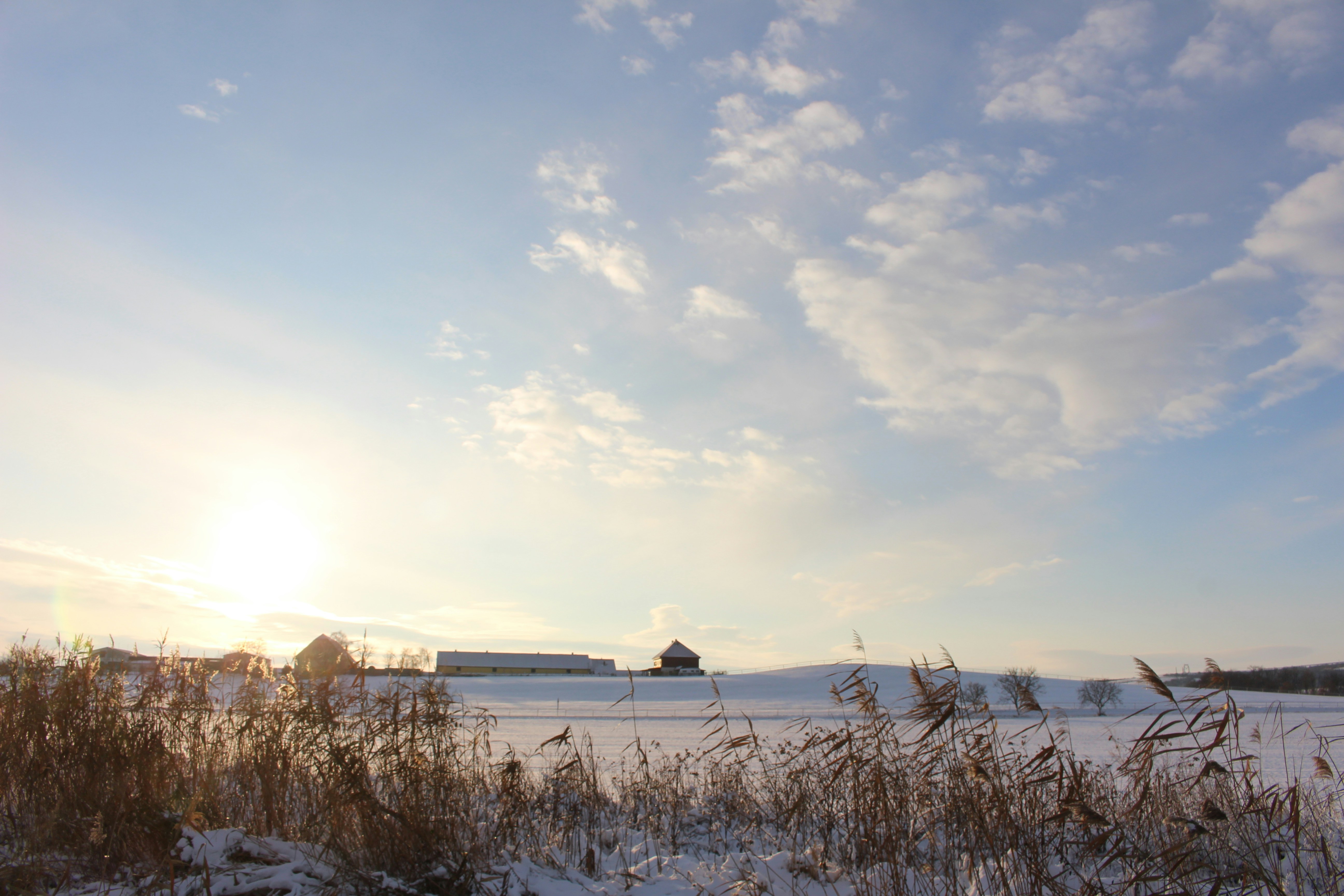 Photo by marjorylucabaxter