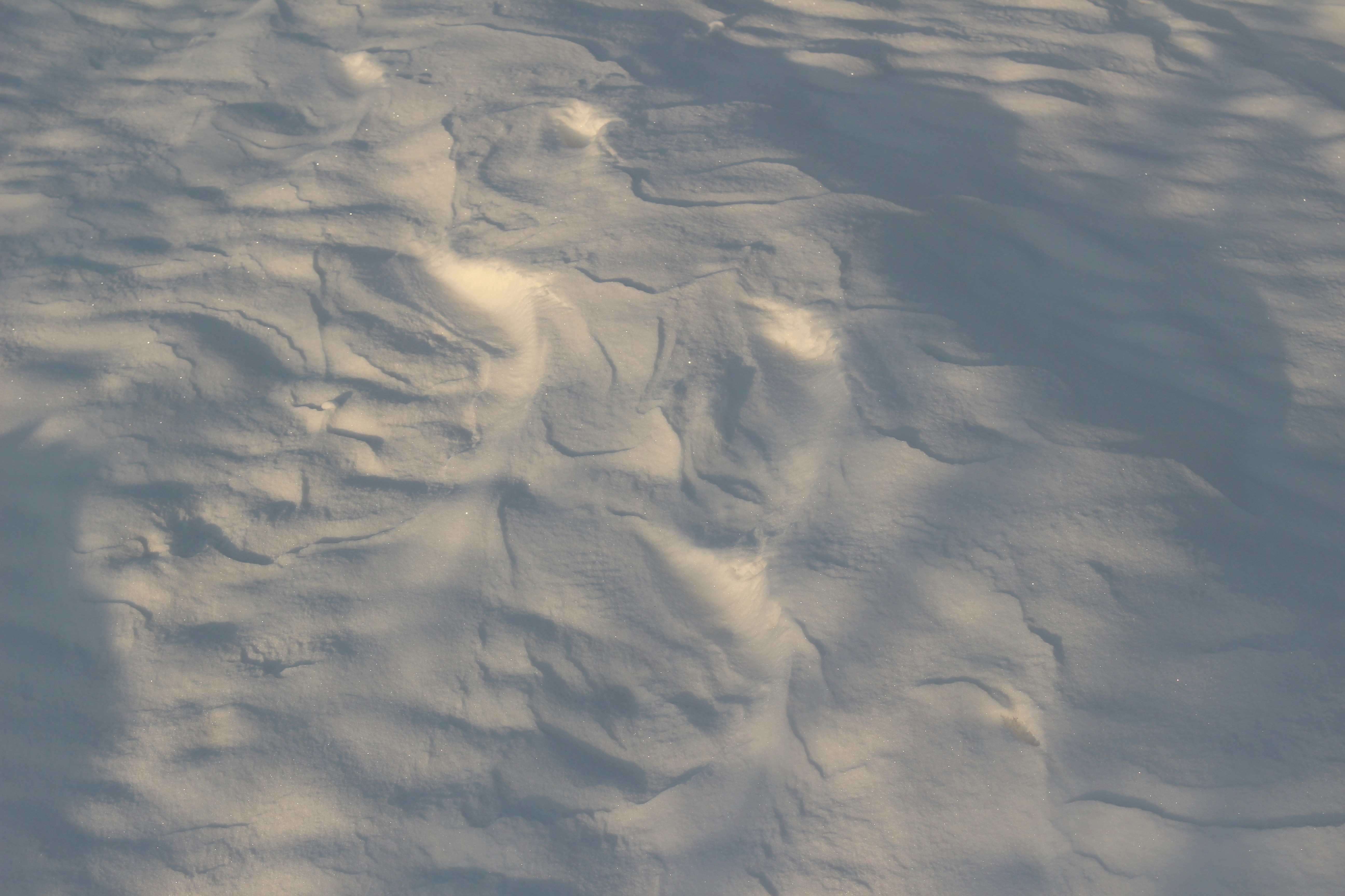 Photo by marjorylucabaxter