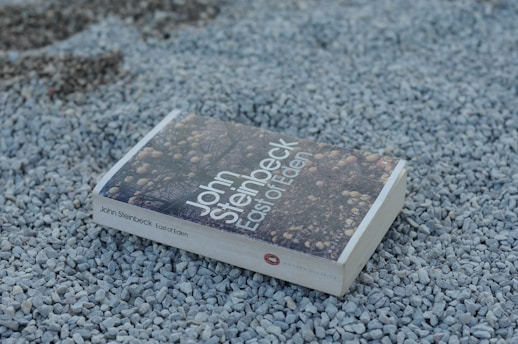A paperback edition of the book 'East of Eden' by John Steinbeck rests on a surface of small gray pebbles. The cover features an abstract design with muted colors and a pattern resembling branches and stones.