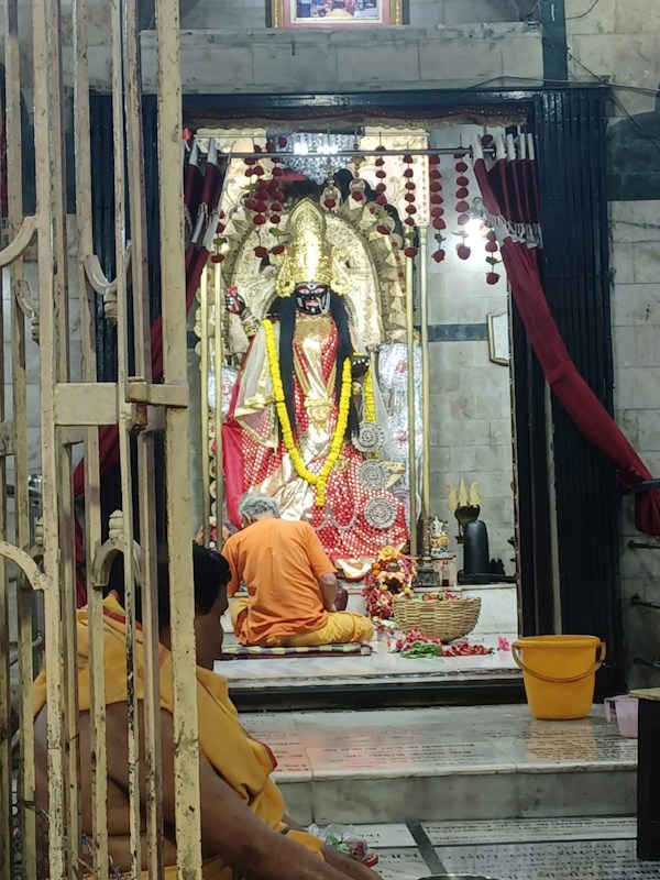 A religious scene within a temple featuring a decorated idol dressed in ornate garments and jewelry. The idol is adorned with garlands and sits inside a shrine that is framed by red and gold decorations. In front of the idol is a person seated, possibly engaged in prayer or offering rituals. The area is lit softly, enhancing the sacred atmosphere.
