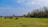 Smiling middle-aged man standing in front of a green pasture with buffaloes grazing.