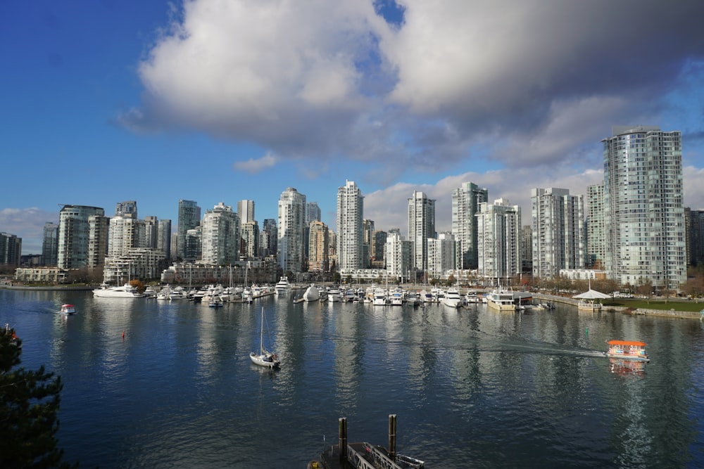 a large body of water with a city in the background