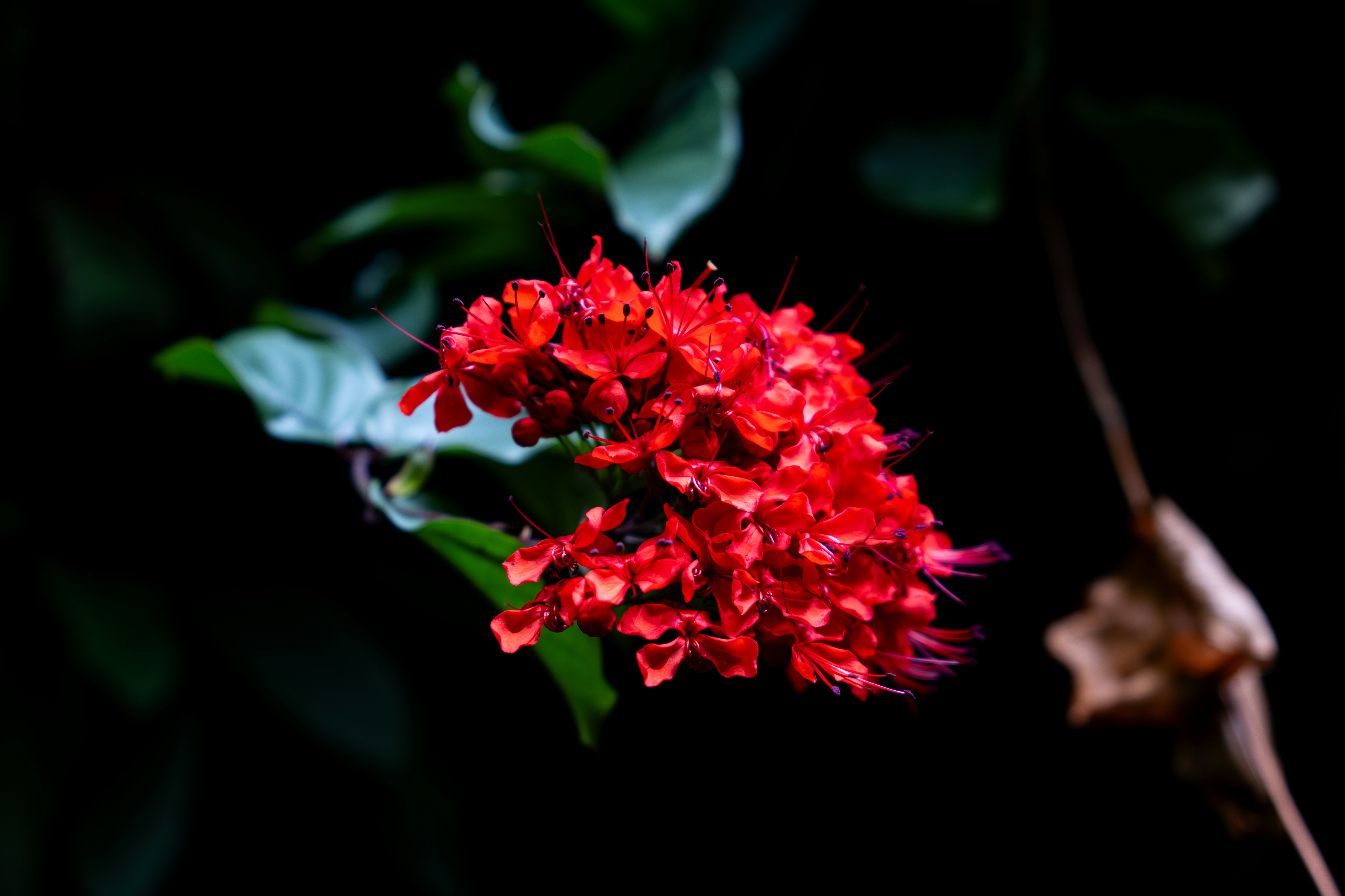 Photo by padraigoflannery