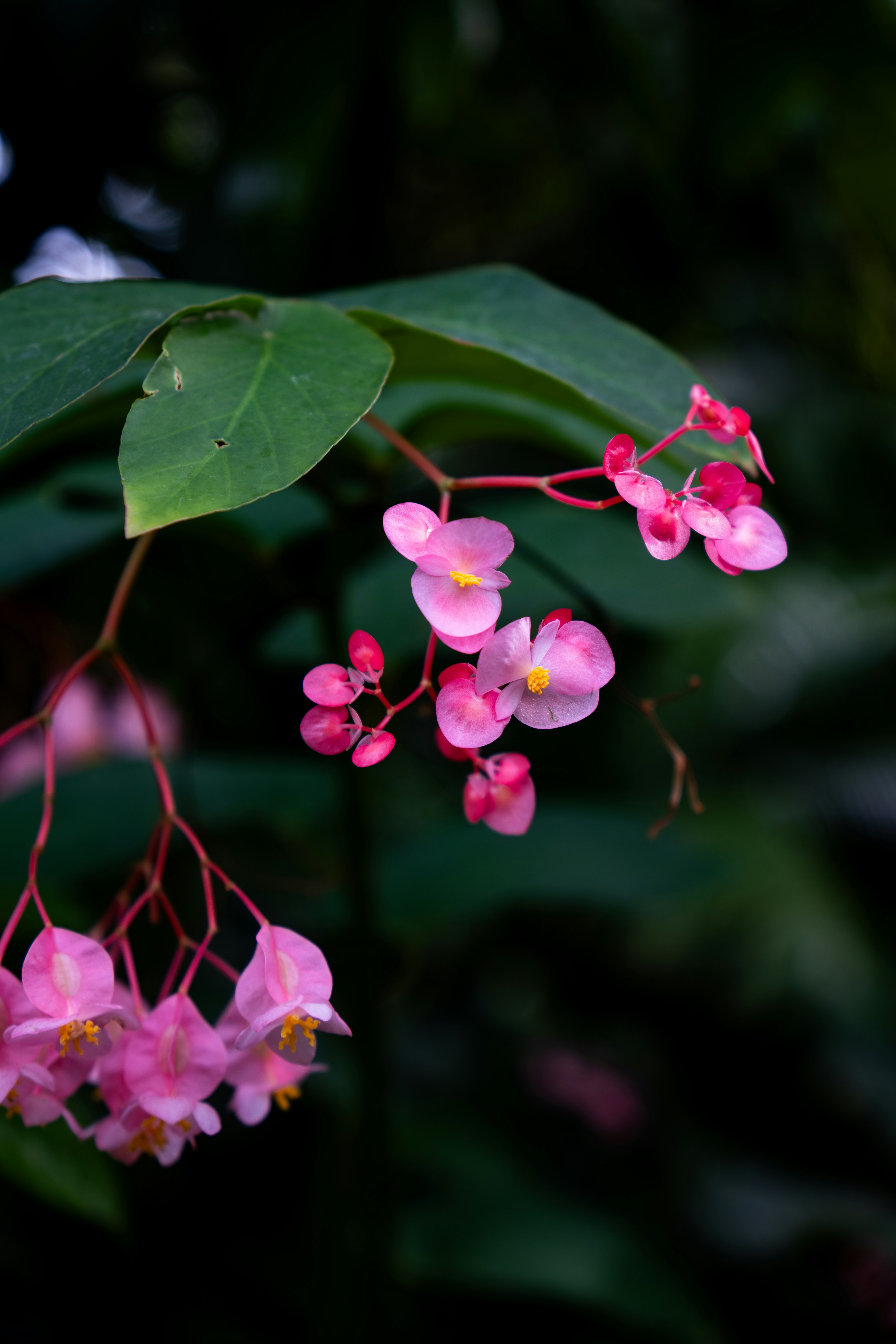 Photo by padraigoflannery