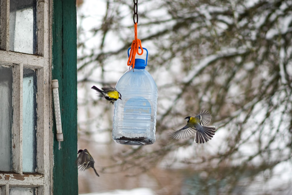 a bird feeder hanging from a window next to a tree