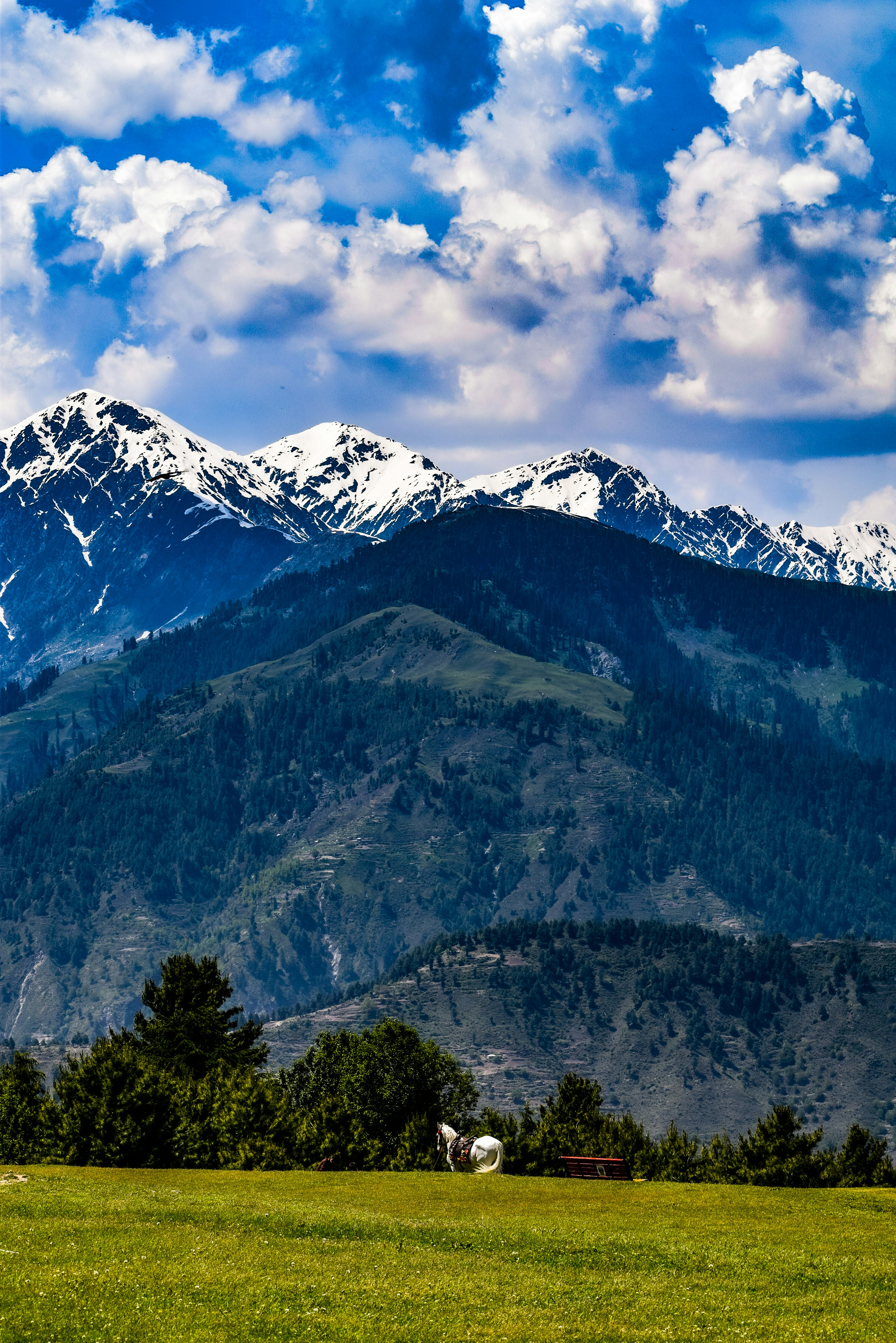 Photo by maheerakulsoom