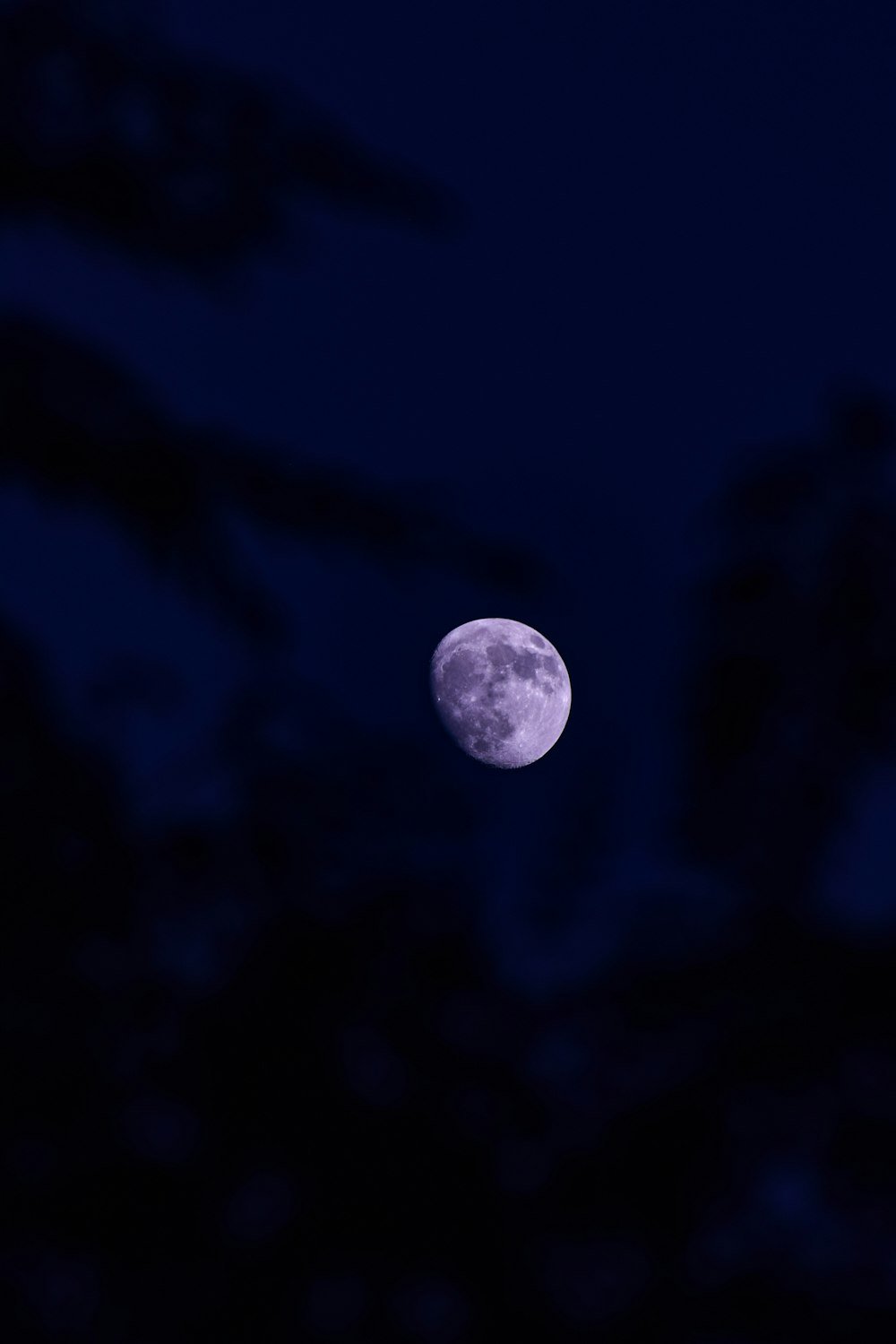 a full moon is seen in the night sky