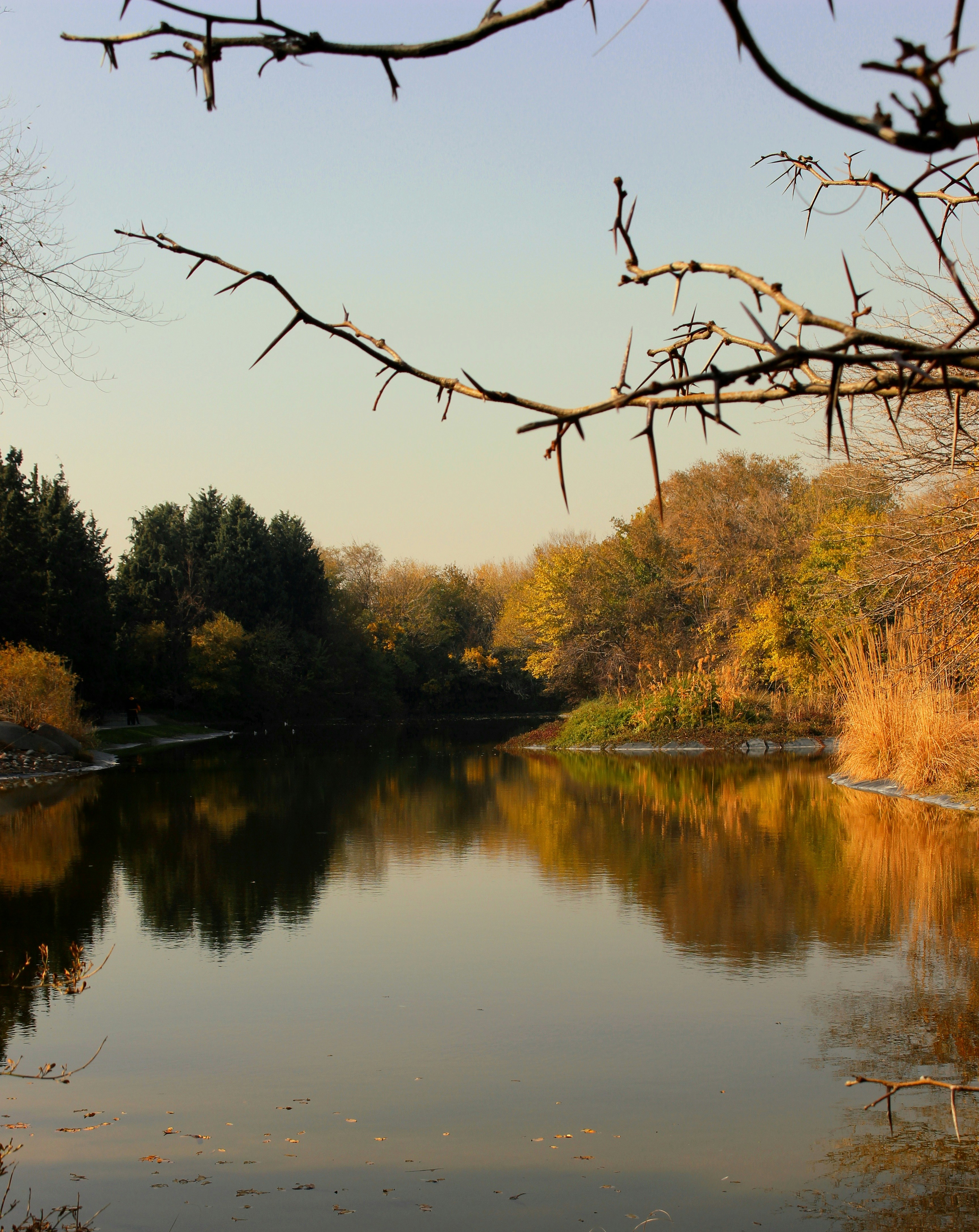 Photo by fatima_mk79