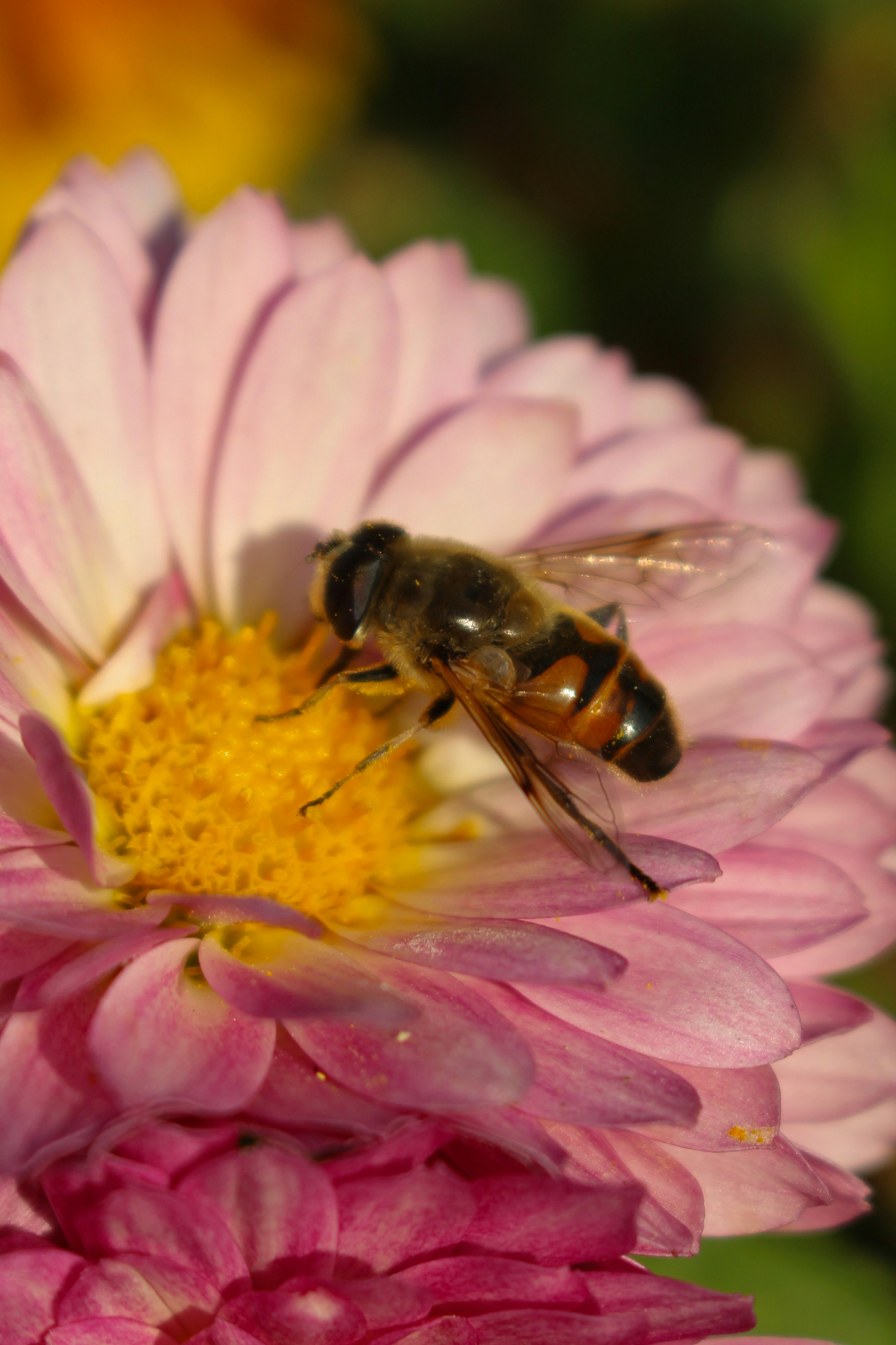 Photo by fatima_mk79