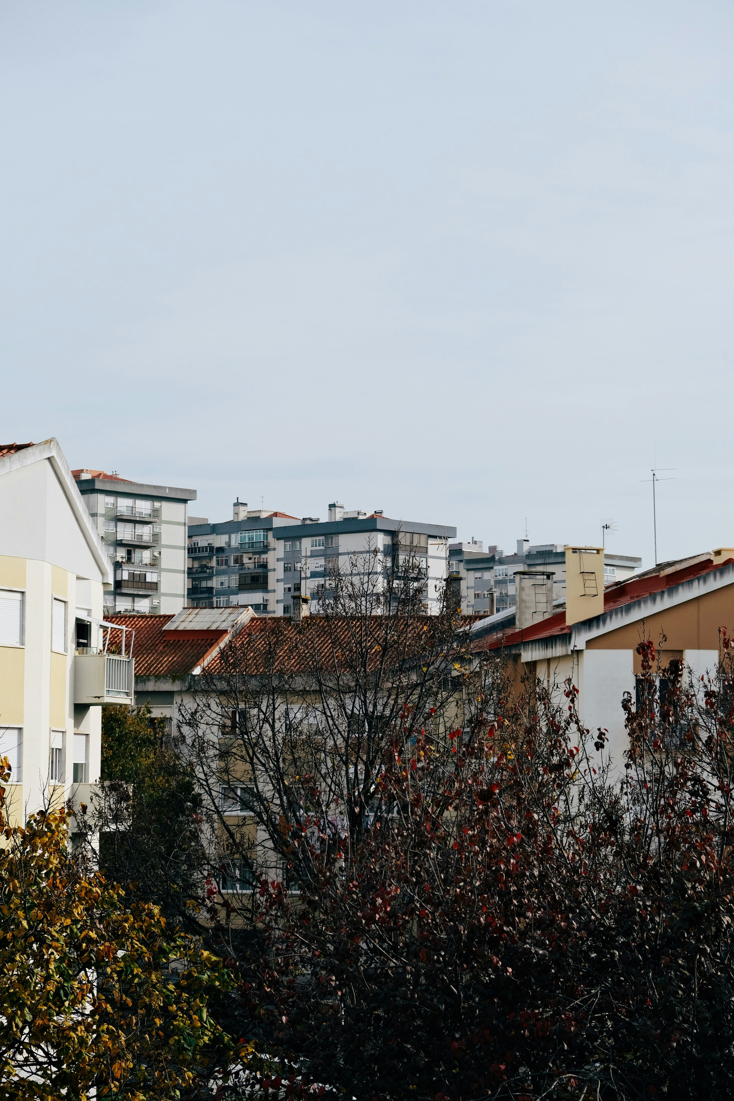 Photo by weylandswart