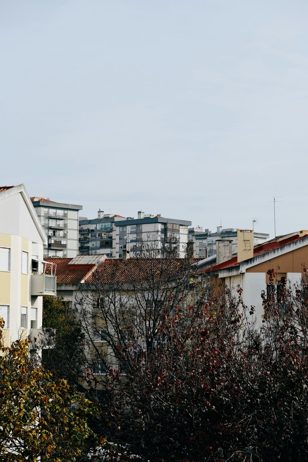 a view of a city from a distance