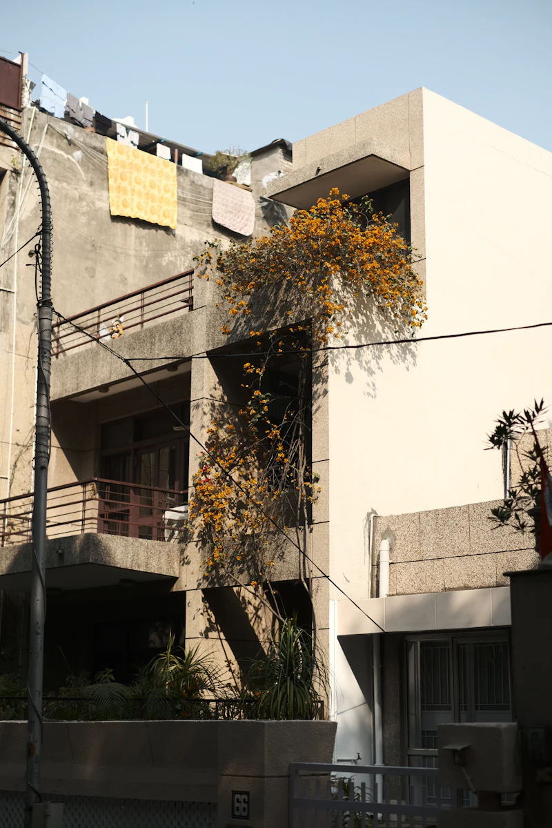 Residential building with a tree in front in New Delhi