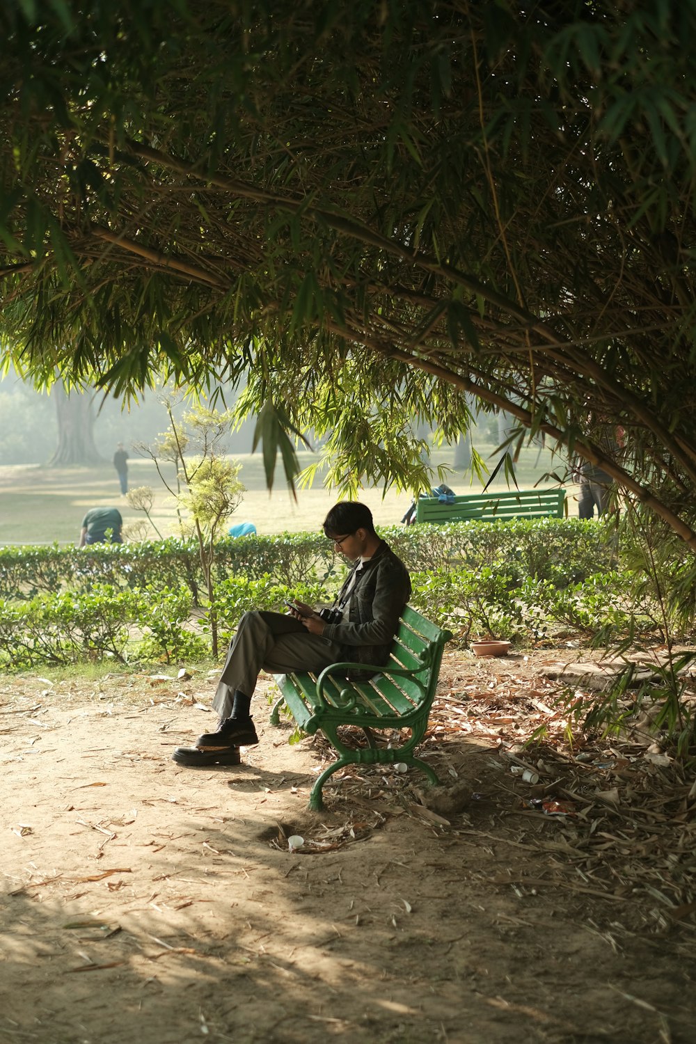 a man sitting on a green bench under a tree