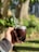 Close-up of a traditional mate cup surrounded by lush green leaves of palo rosa and palmitos.