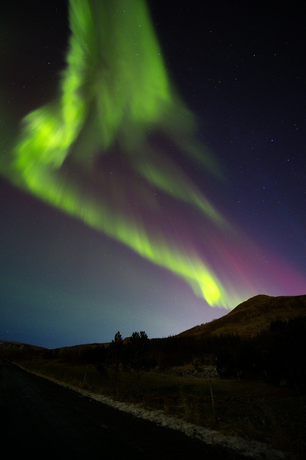 a green and purple aurora bore in the night sky