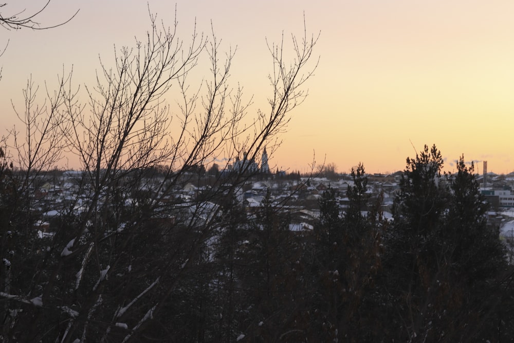 the sun is setting over a city with trees in the foreground