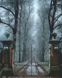 An ornate wrought iron gate stands closed between two brick pillars topped with decorative finials. The gate leads into a misty forest, where trees are bare and branches intertwine overhead, creating a haunting atmosphere. The ground and gate are dusted with snow, suggesting a cold, wintry setting.