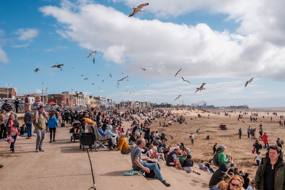 a crowd of people sitting on top of a sandy beach