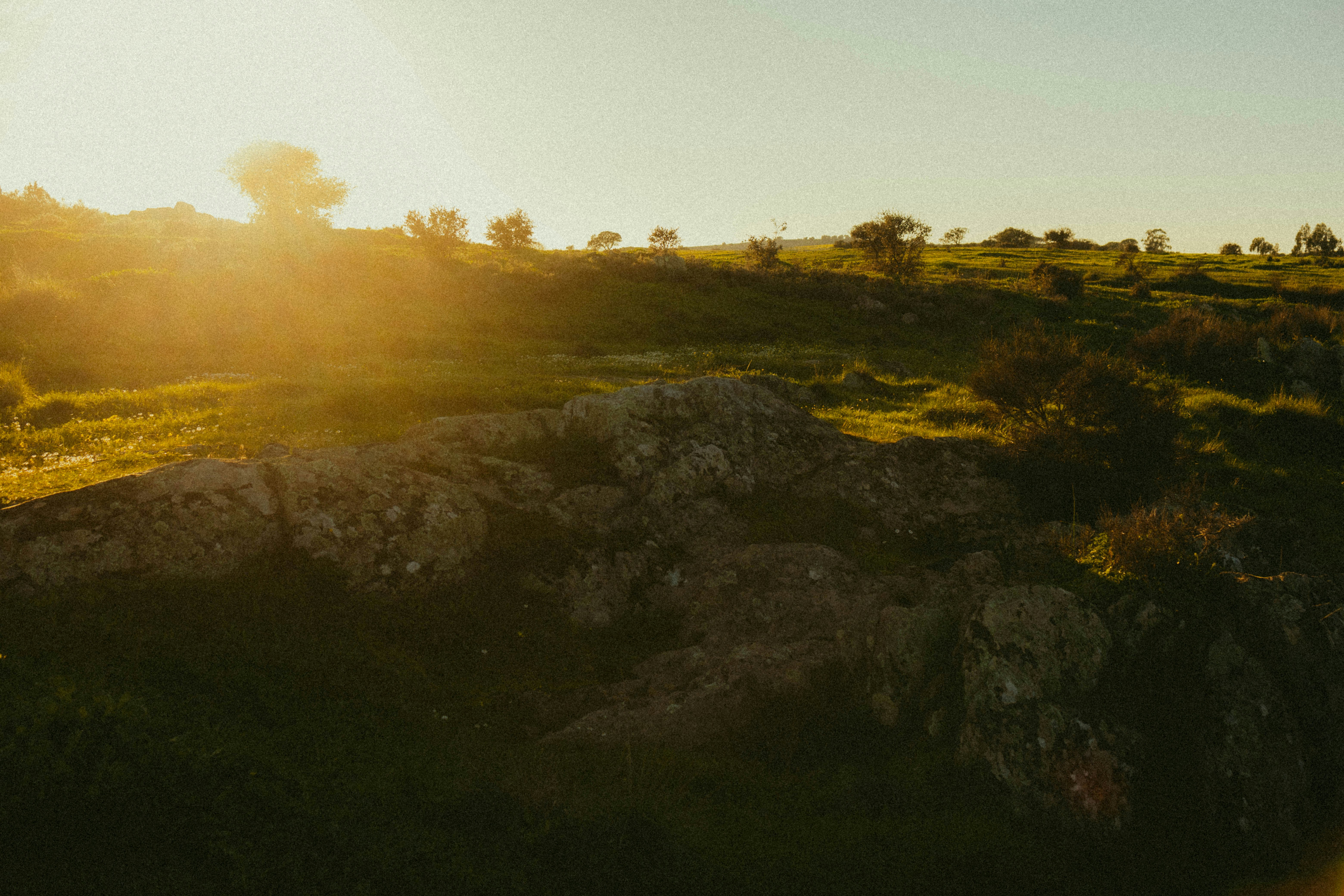 Photo by marianacbras