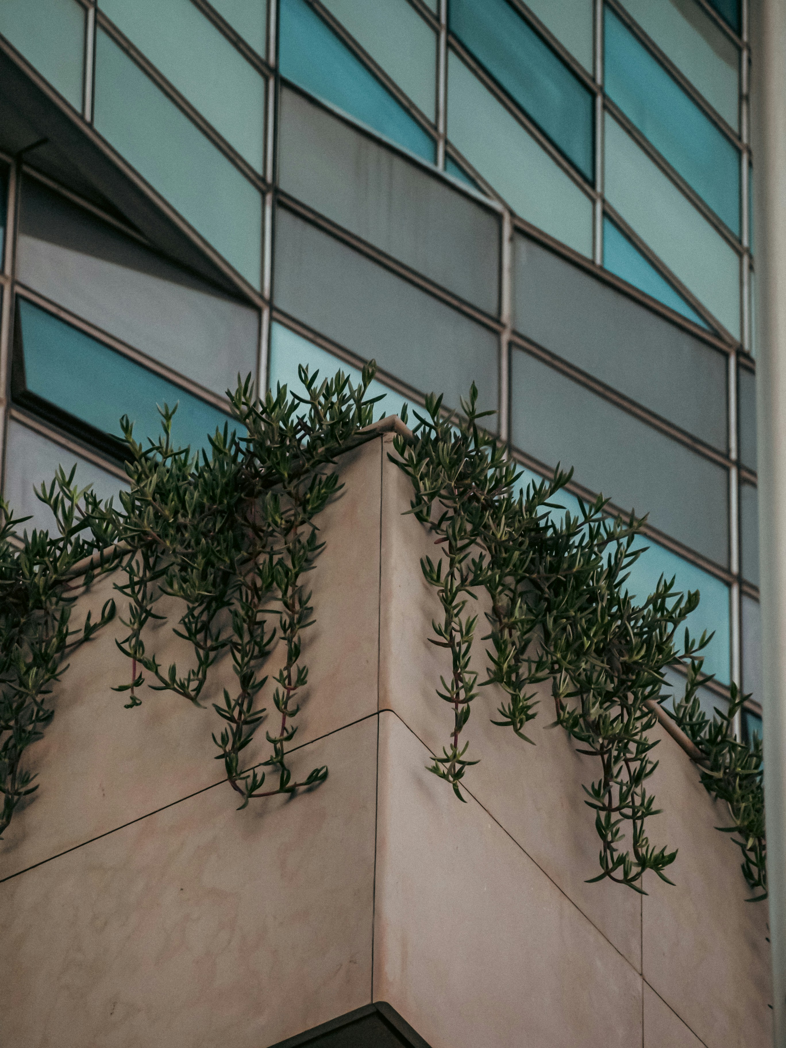 Photo by 3abdels_art