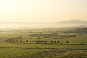 Wide shot of green fields stretching across reclaimed farmland at dawn