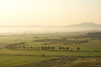 Wide shot of green fields stretching across reclaimed farmland at dawn
