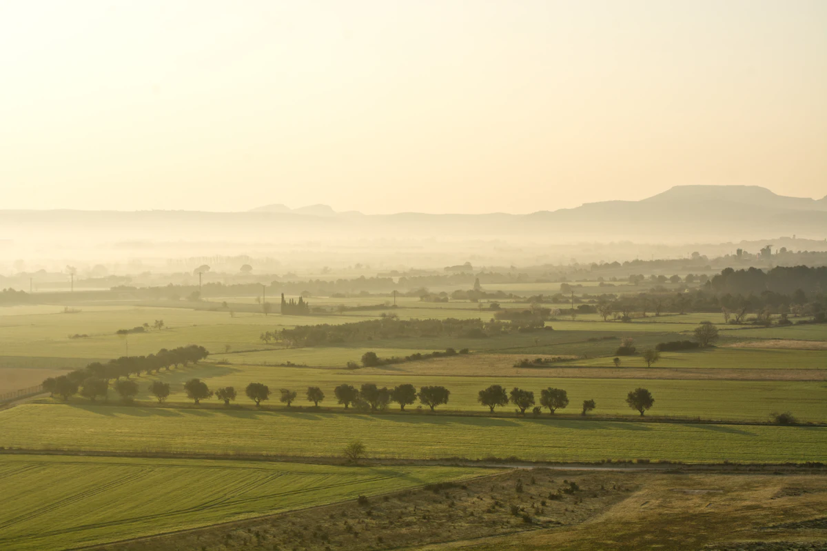 Morning haze over farm fields and rows of trees near Viladamat in the Empordà, with hills behind