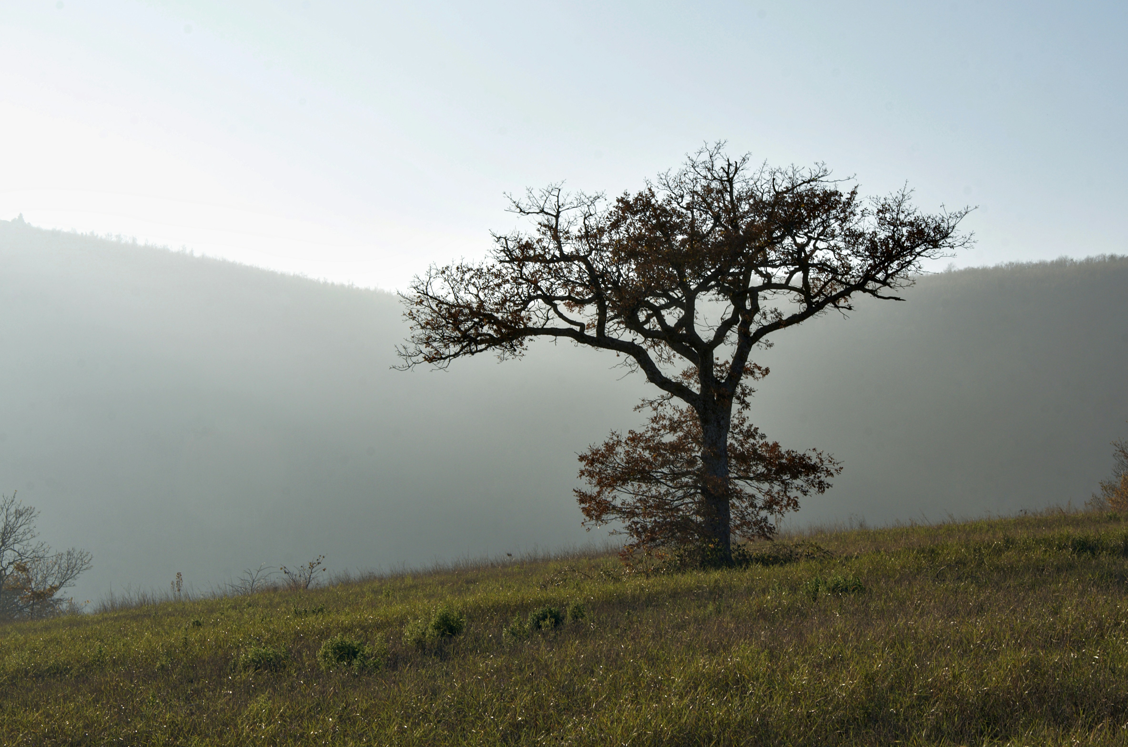 Photo by mariobeducci