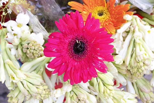 A vibrant arrangement of flowers featuring prominent pink and orange gerbera daisies surrounded by clusters of white and green buds, wrapped with translucent plastic.