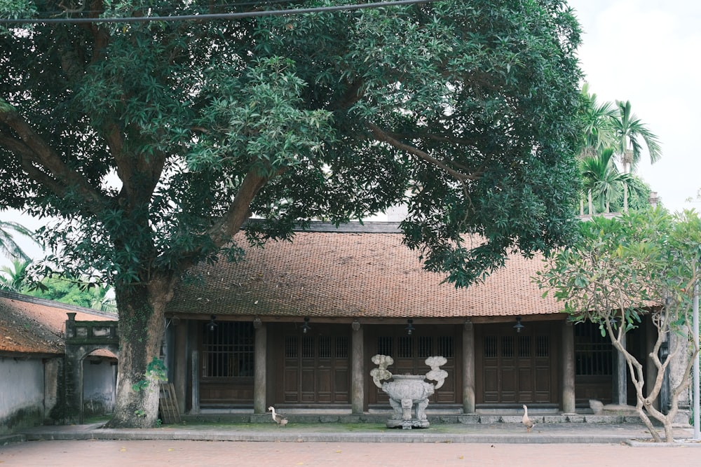 a building with a large tree in front of it