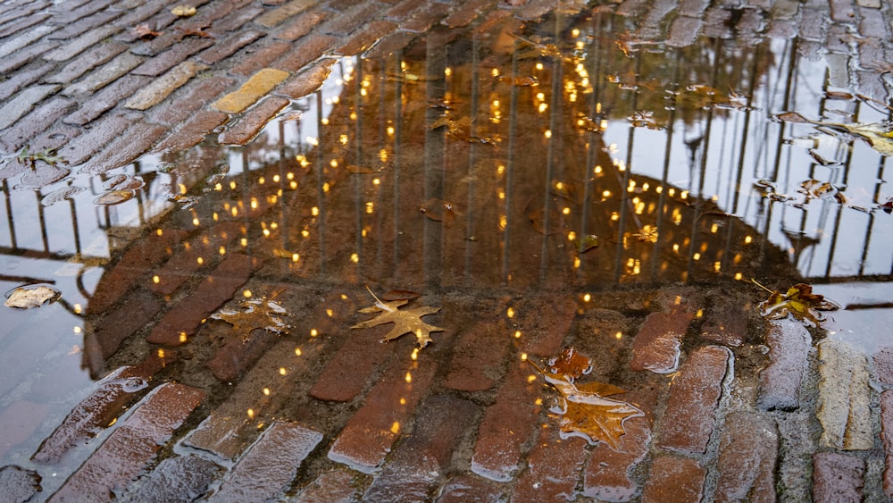 a reflection of a building in a puddle of water