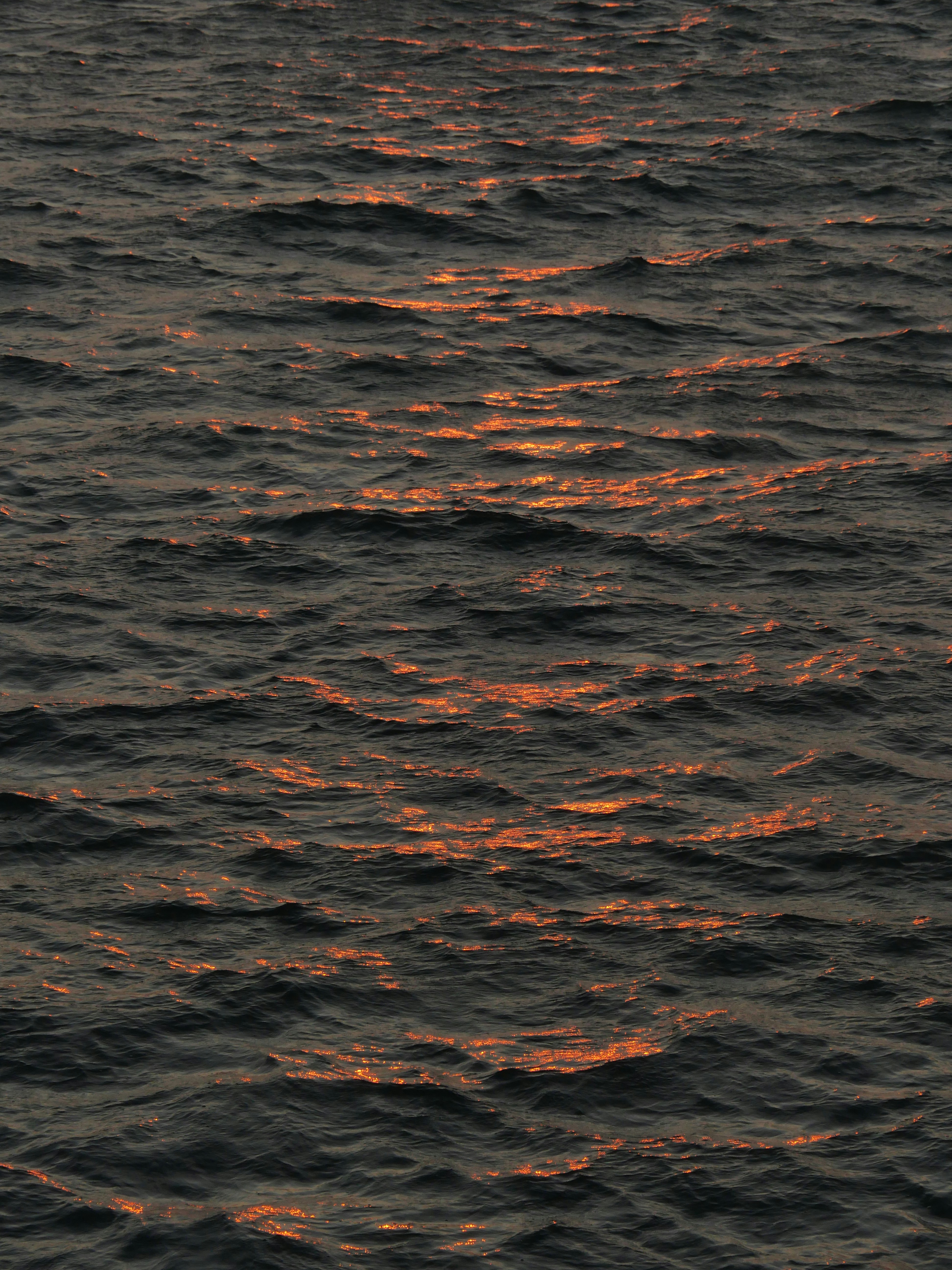 Why Neuroscience Cannot Dissolve the Hard Problem of Consciousness