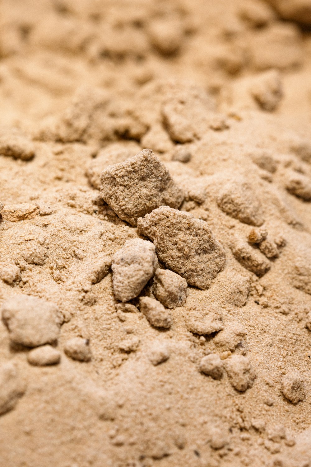 a close up of a pile of dirt
