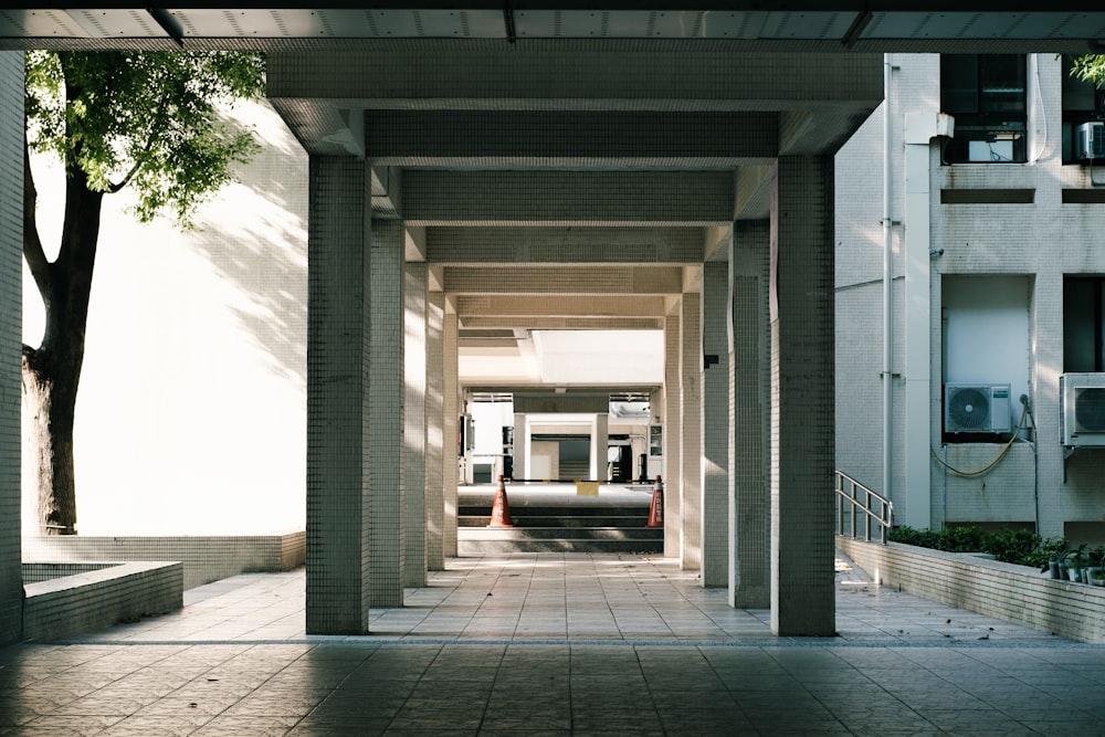 a walkway with a tree and a building in the background