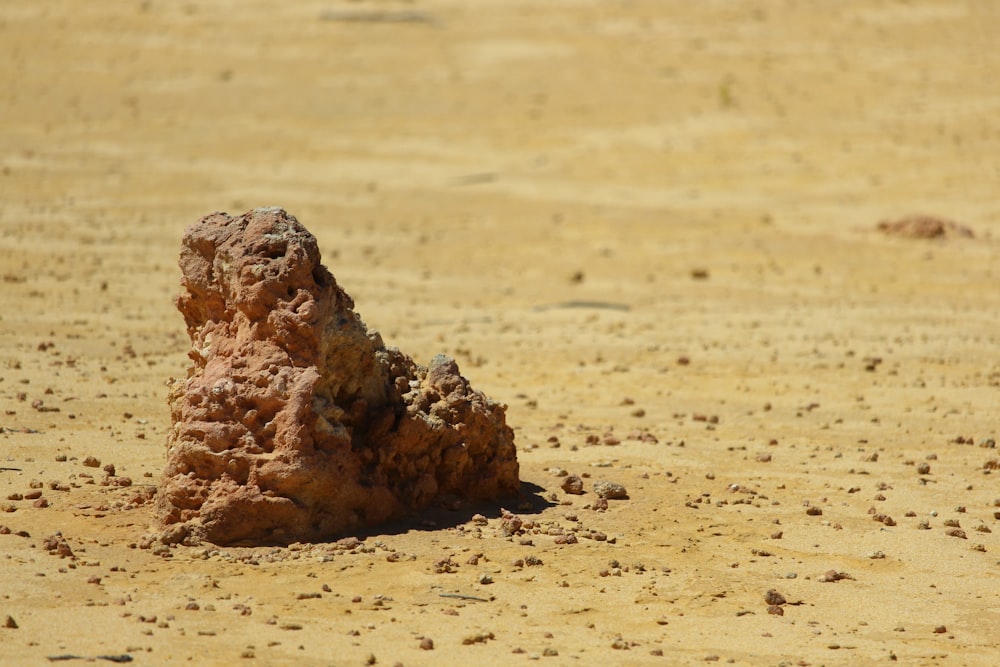 a rock in the middle of the desert