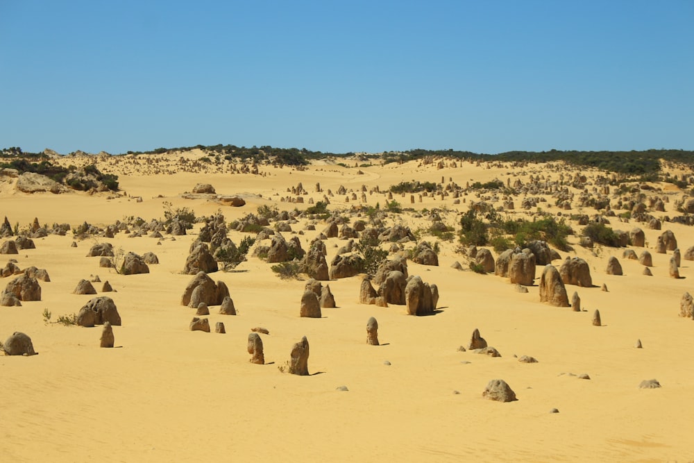 a large group of rocks sitting in the middle of a desert