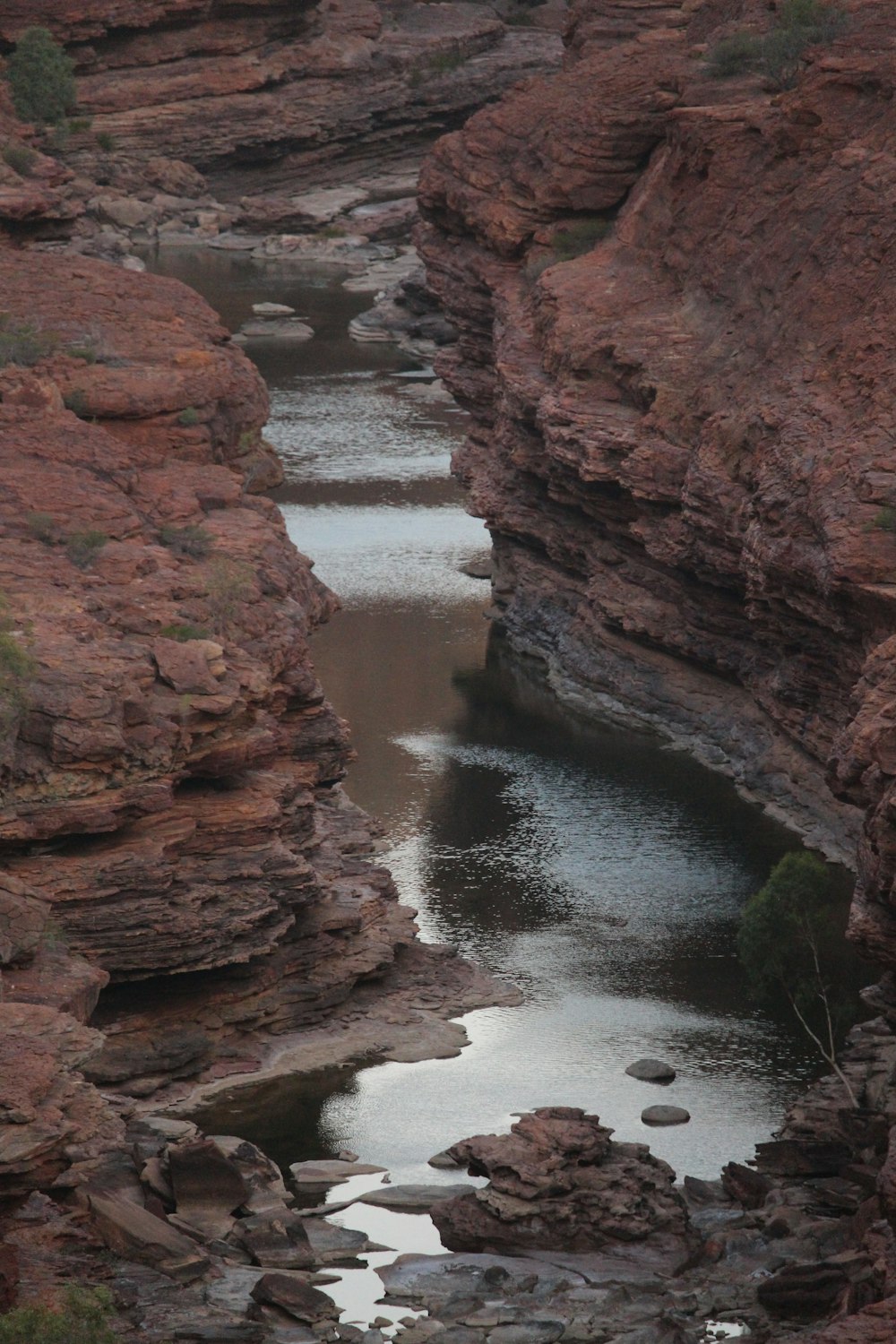 岩に囲まれた峡谷を流れる川