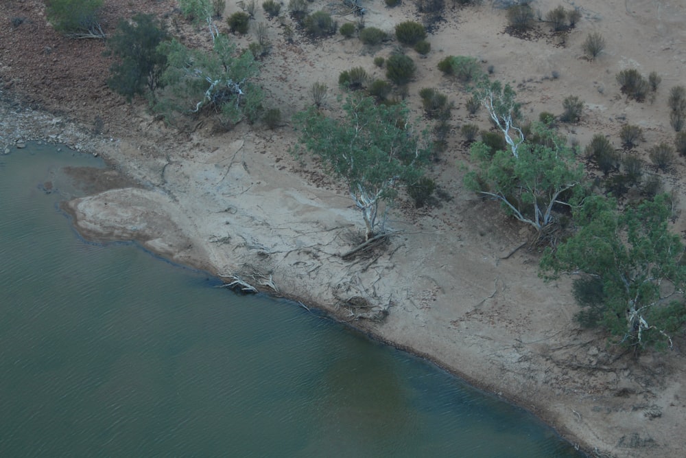 an aerial view of a body of water surrounded by trees