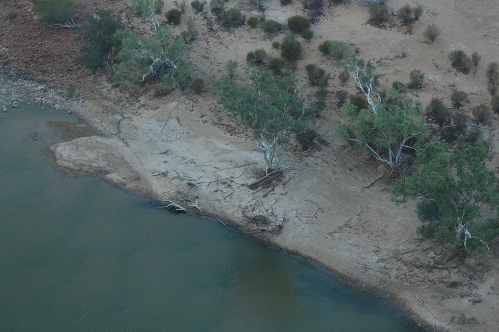 Luftaufnahme eines von Bäumen umgebenen Gewässers