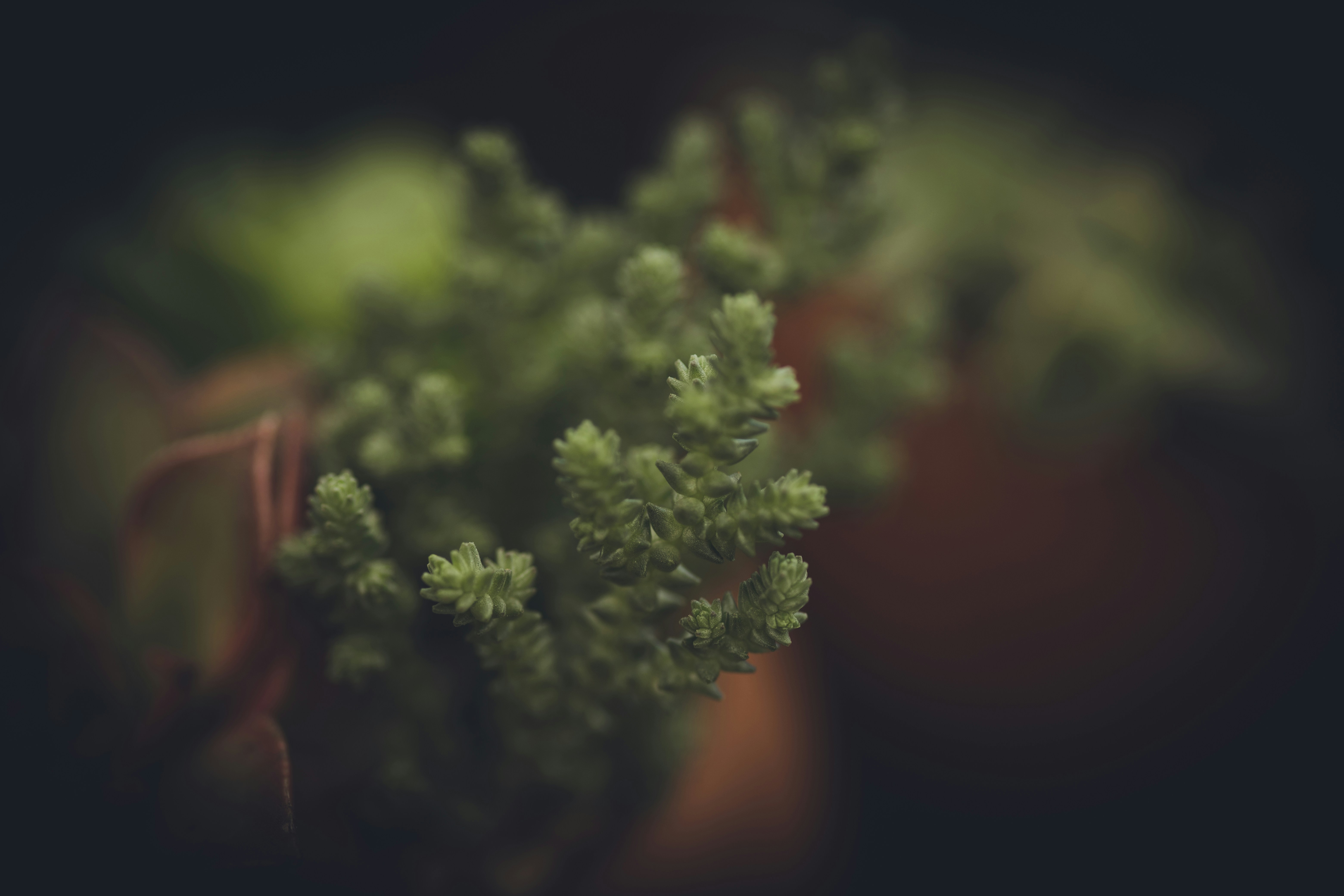 Photo by rrodriguesim