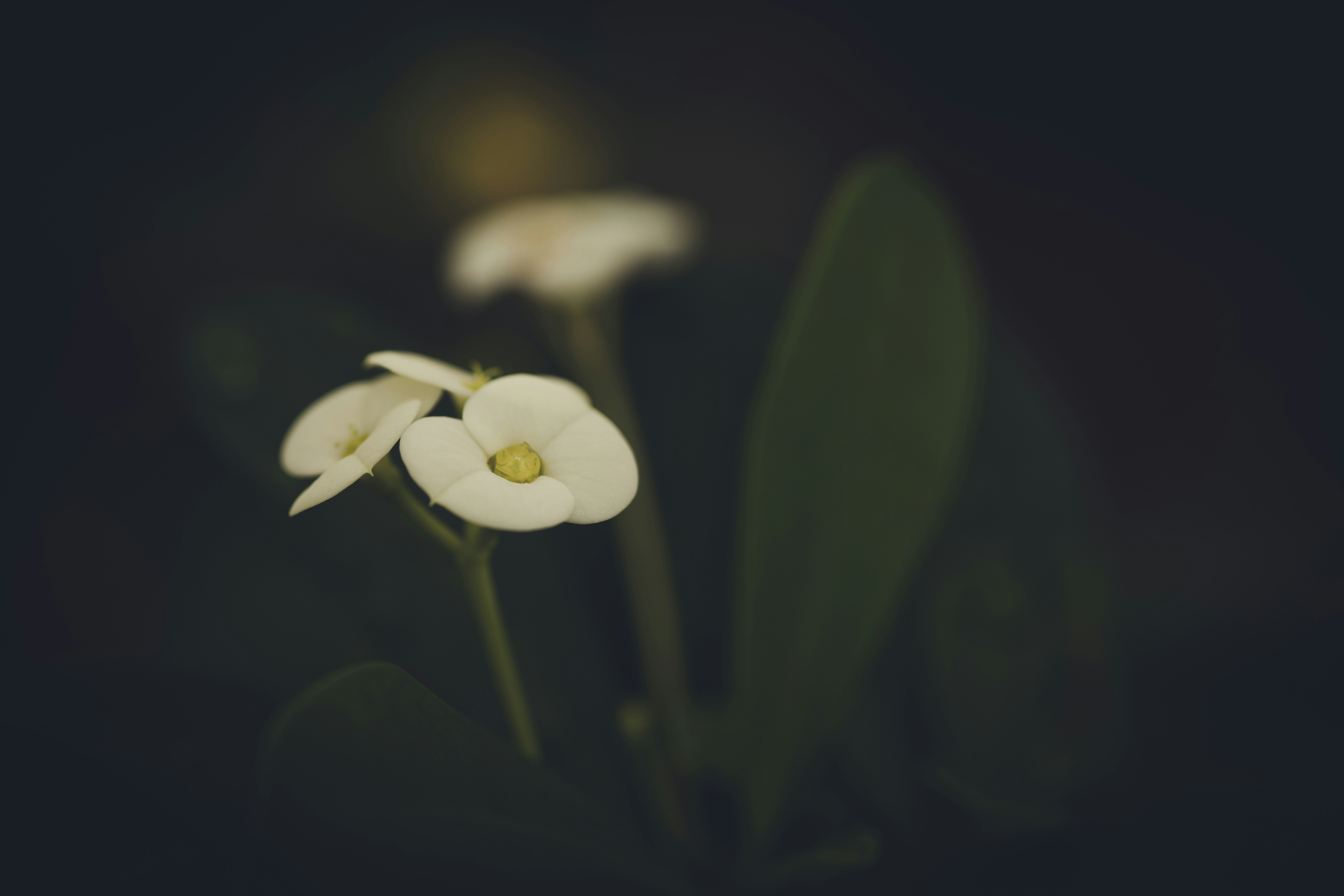 Photo by rrodriguesim